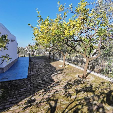 Tenuta Solleone Peschici Exterior foto